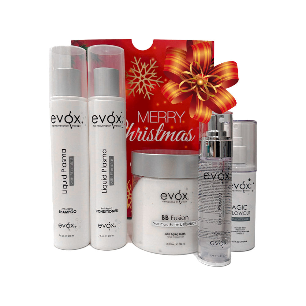 Evox Deluxe Holiday Pro Kit – Smooth, Shine & Repair